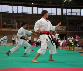 Kárate, un sueño para Tokio 2020