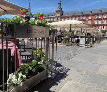 Sabroso agosto en Madrid